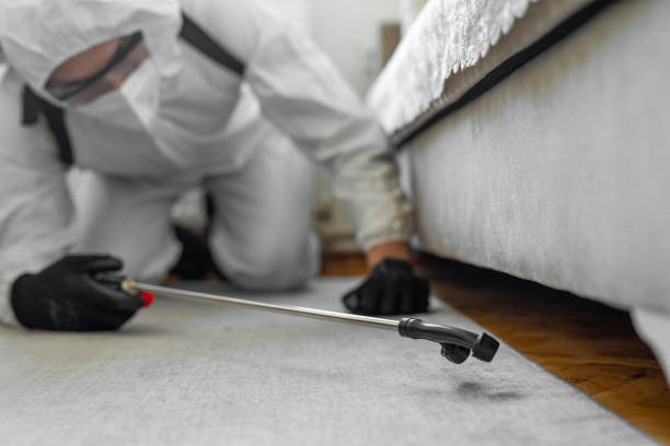 Professional Pest Control technician working in Jefferson County County, MT
